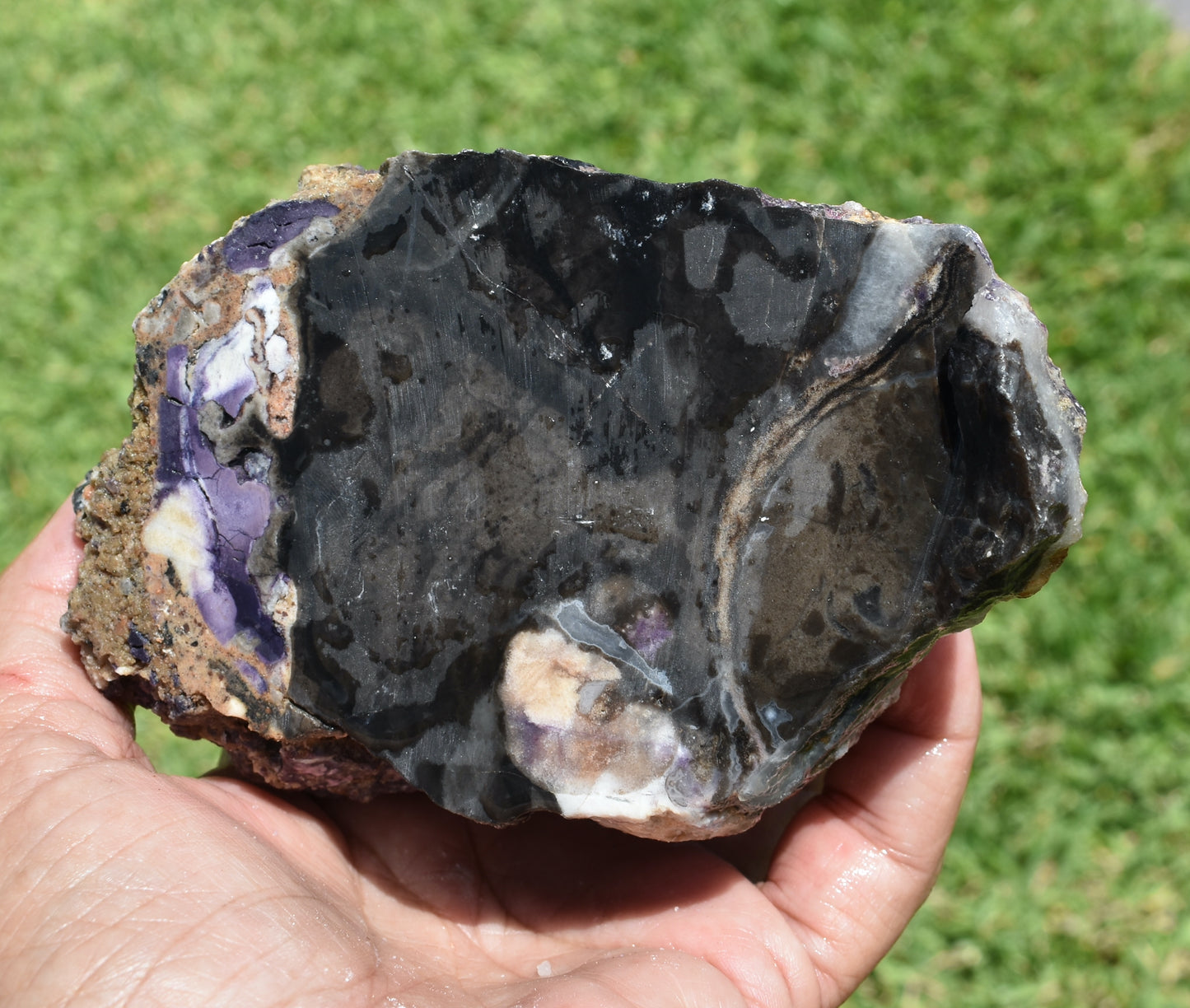 1.26 LB Tiffany Stone (Utah) Rough lapidary Rock (R-PUW)
