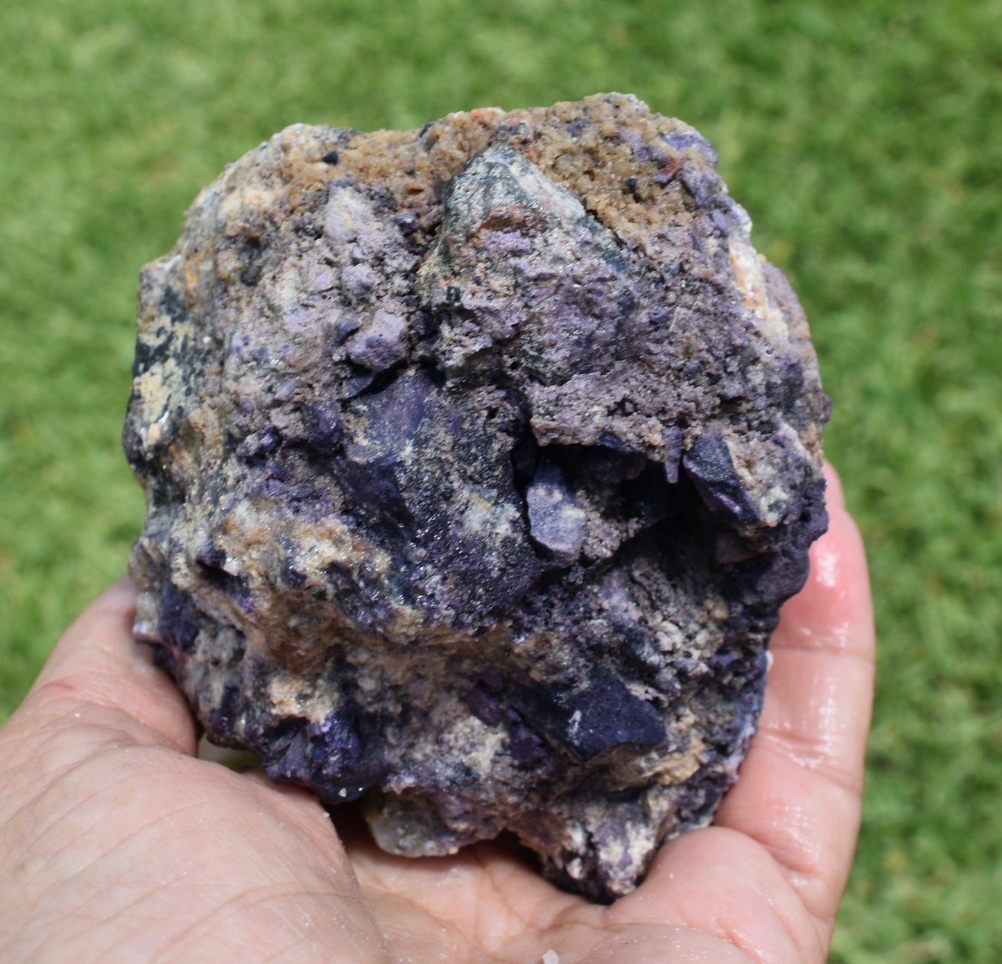 1.26 LB Tiffany Stone (Utah) Rough lapidary Rock (R-PUW)