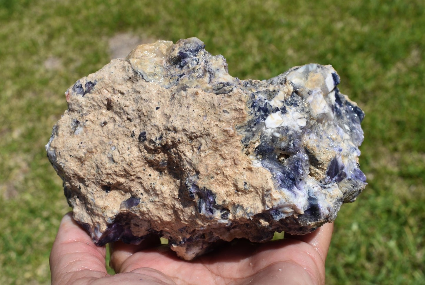 1.48 LB Tiffany Stone (Utah) Rough lapidary Rock (R-XAQ)