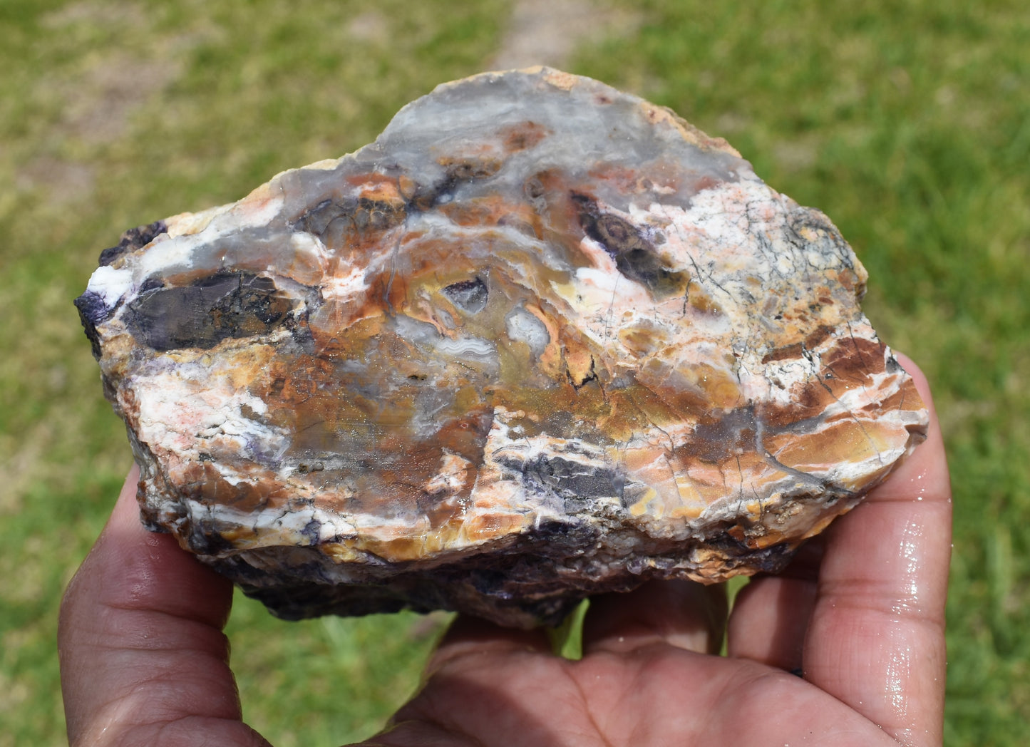 1.46 LB Tiffany Stone (Utah) Rough lapidary Rock (R- UYT)