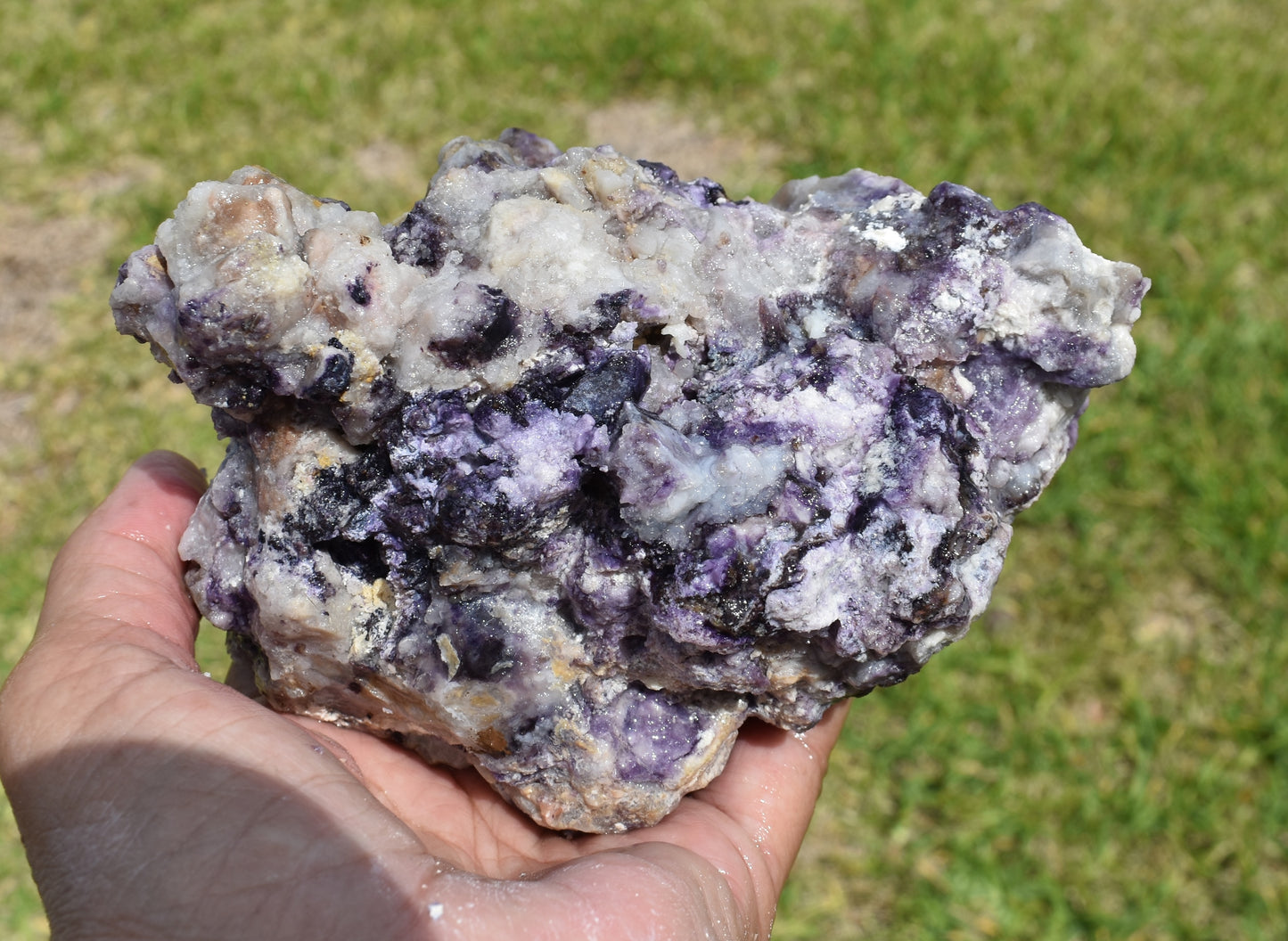 1.58 LB Tiffany Stone (Utah) Rough lapidary Rock (R-QQW)