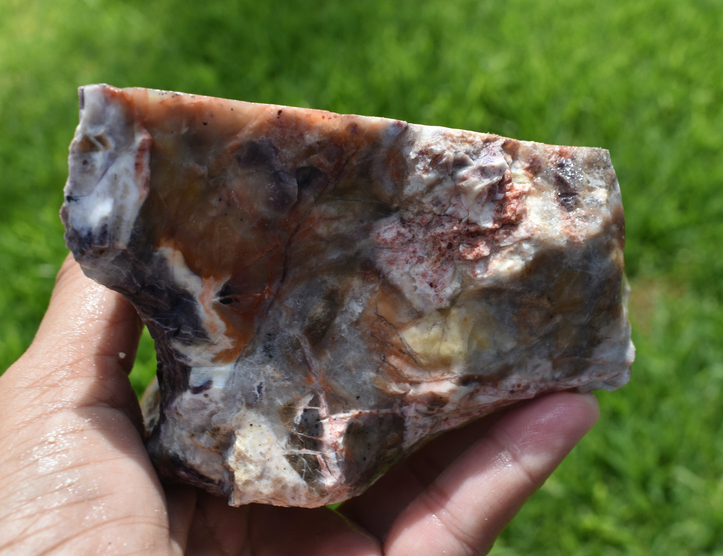 1.46 LB Tiffany Stone (Utah) Rough lapidary Rock (R-FFD)