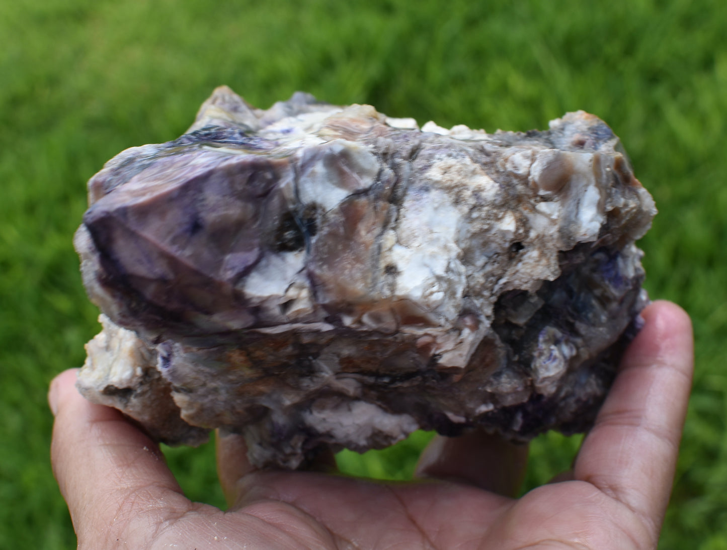 1.38 LB Tiffany Stone (Utah) Rough lapidary Rock (R-XXZ)
