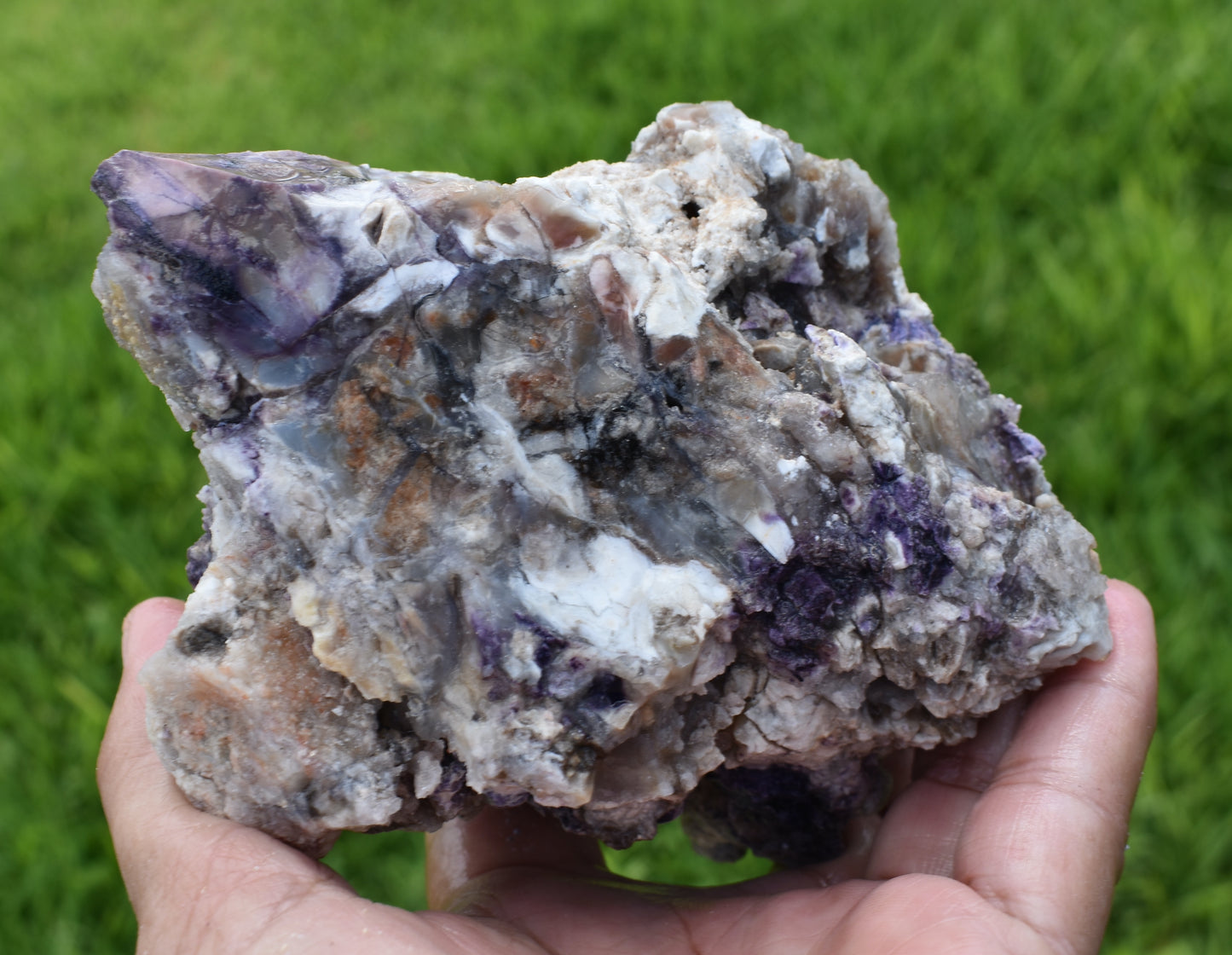 1.38 LB Tiffany Stone (Utah) Rough lapidary Rock (R-XXZ)