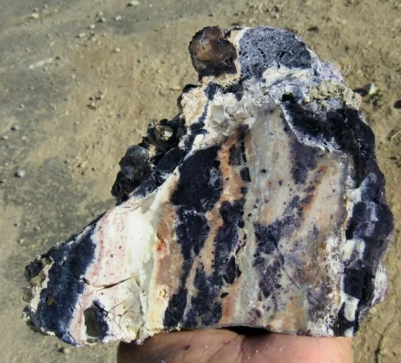 2.80 LB AAA Plus Tiffany Stone (Utah) Rough lapidary Rock (S-PB3)