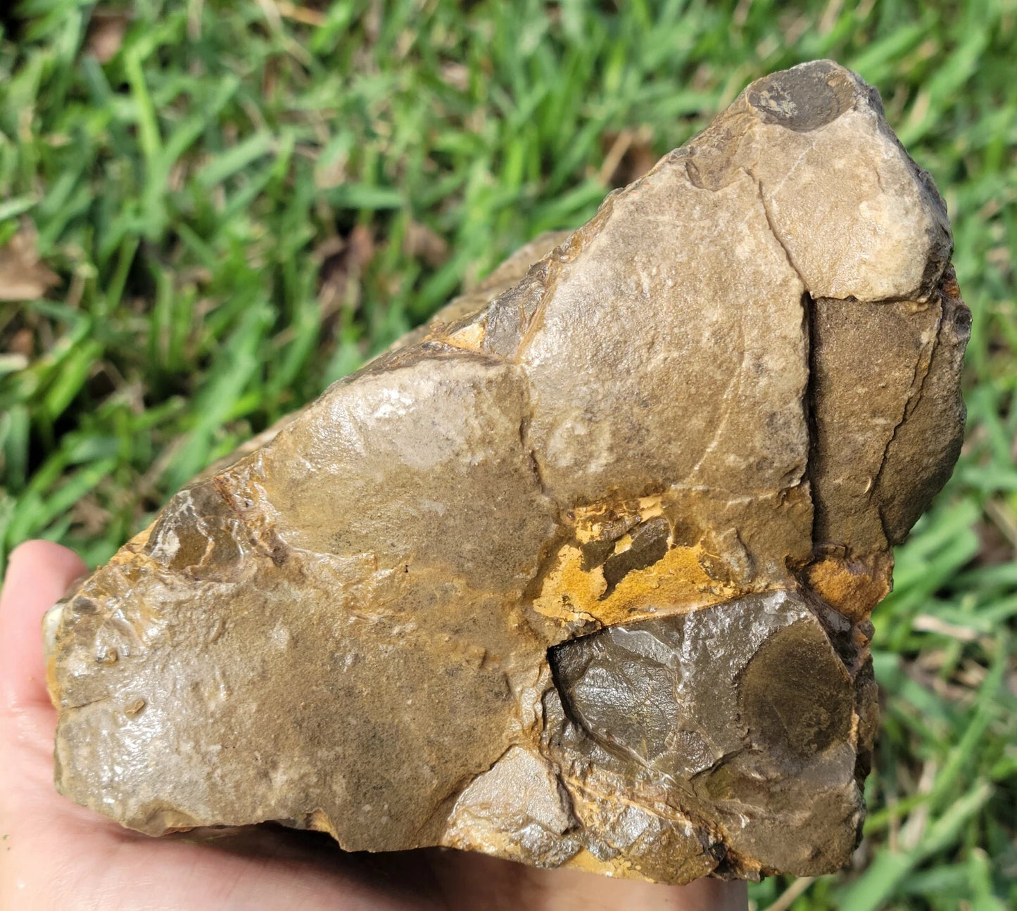 5.84 LB Septarian Nodule Rough Geode Lapidary (S-RJ)
