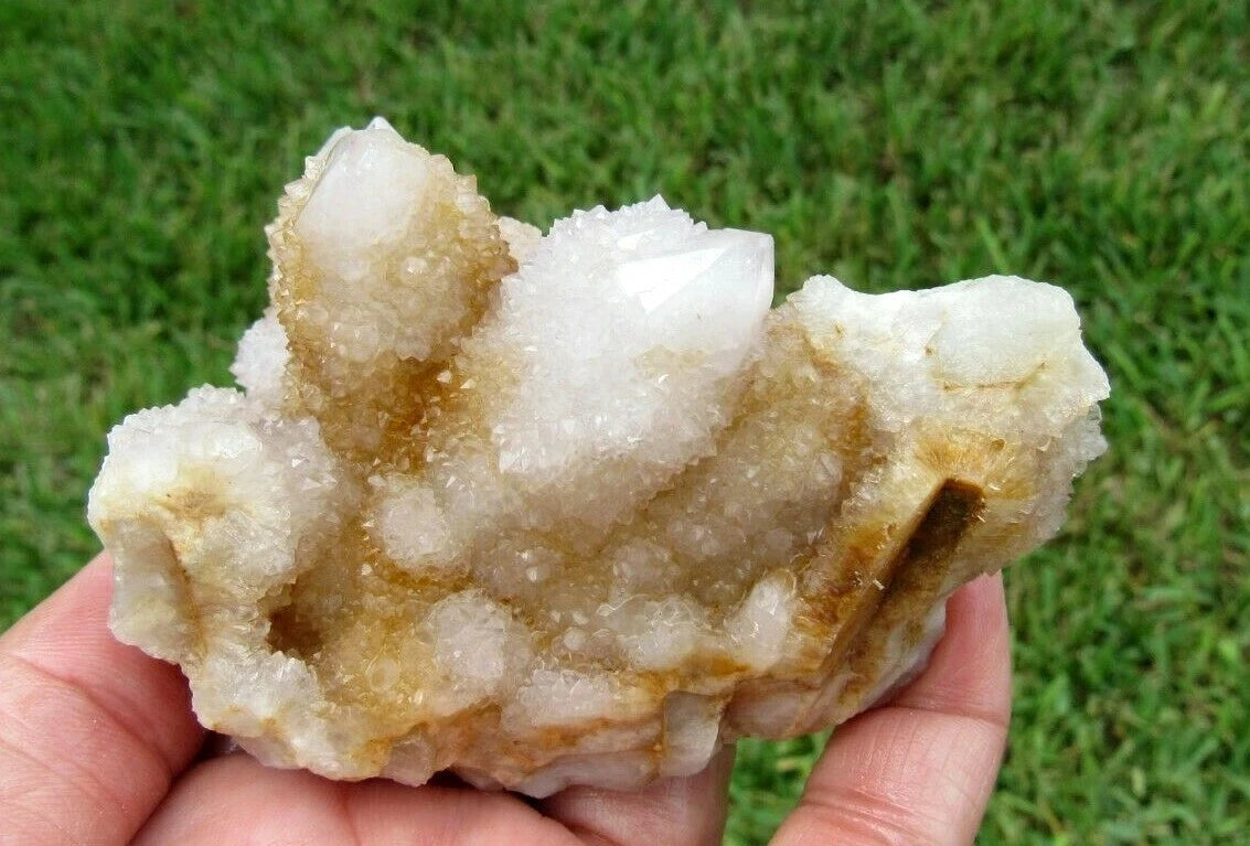 177 GM Natural Spirit Amethyst/Citrine Crystal Quartz Spirit Cactus (GH)