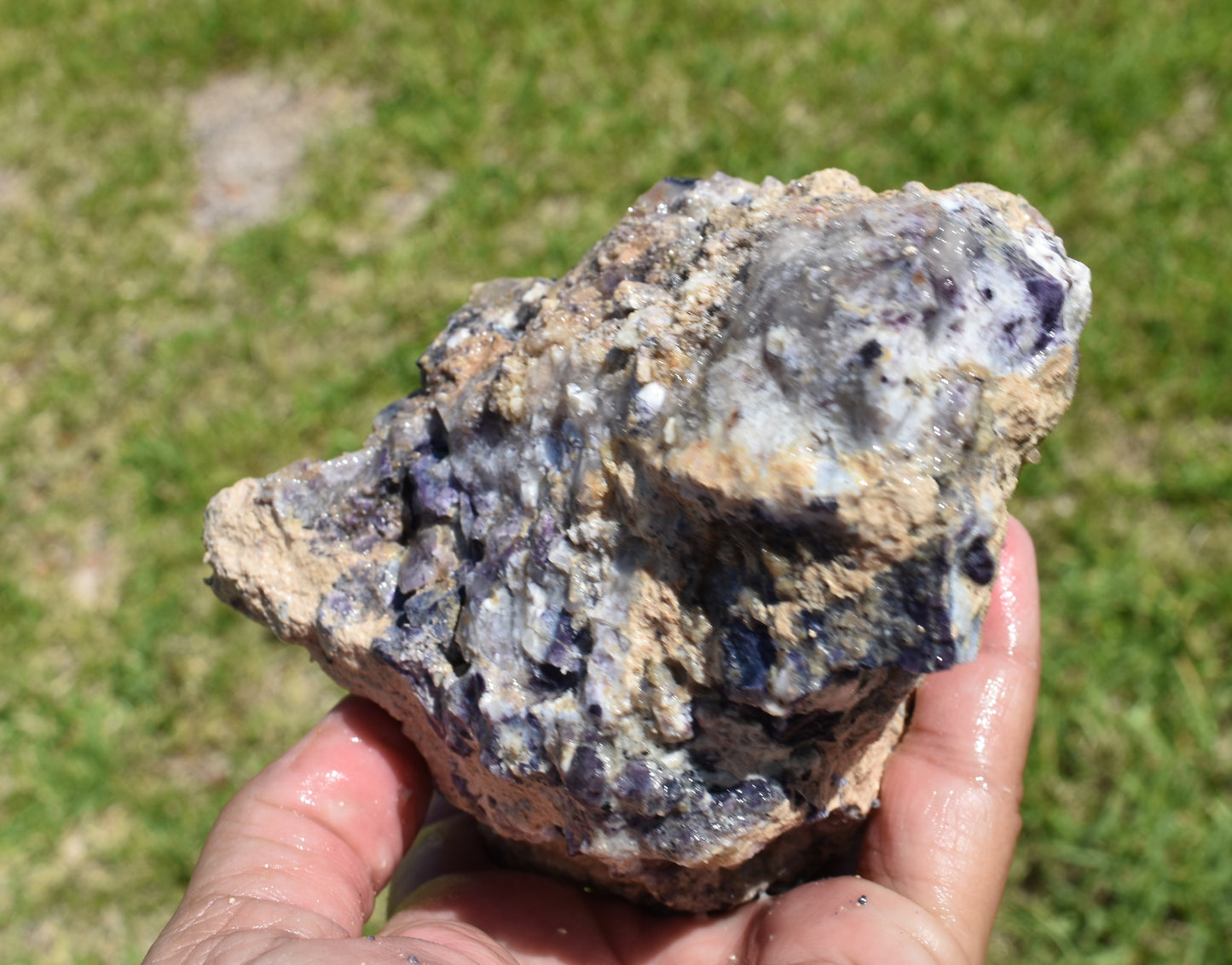 1.48 LB Tiffany Stone (Utah) Rough lapidary Rock (R-XAQ)