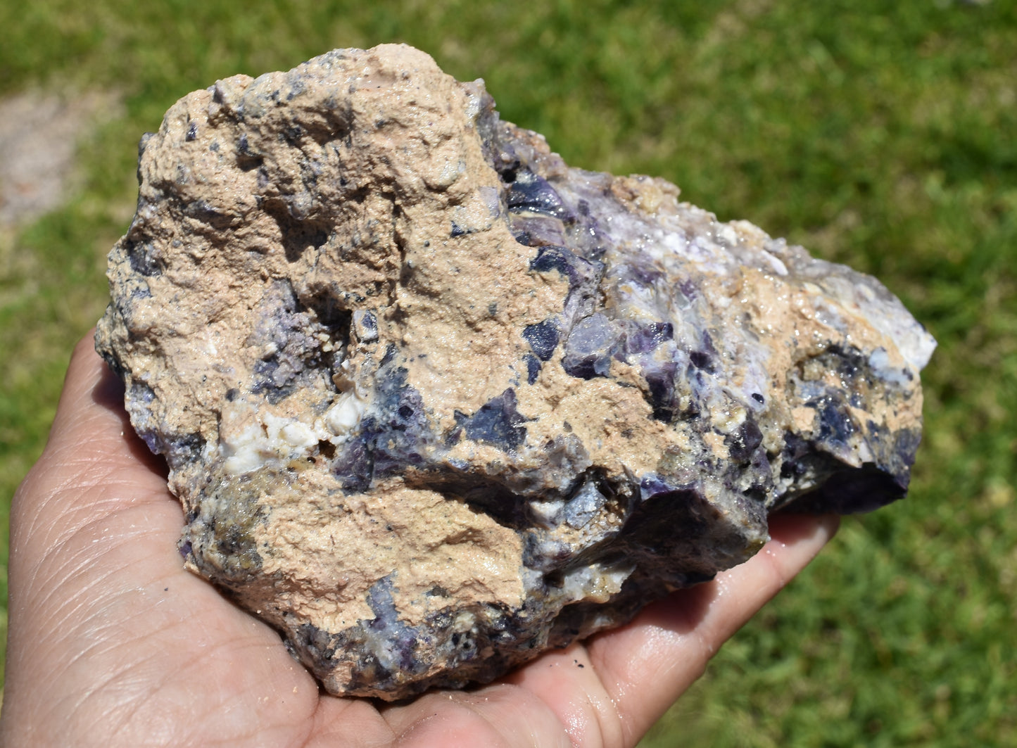 1.48 LB Tiffany Stone (Utah) Rough lapidary Rock (R-XAQ)