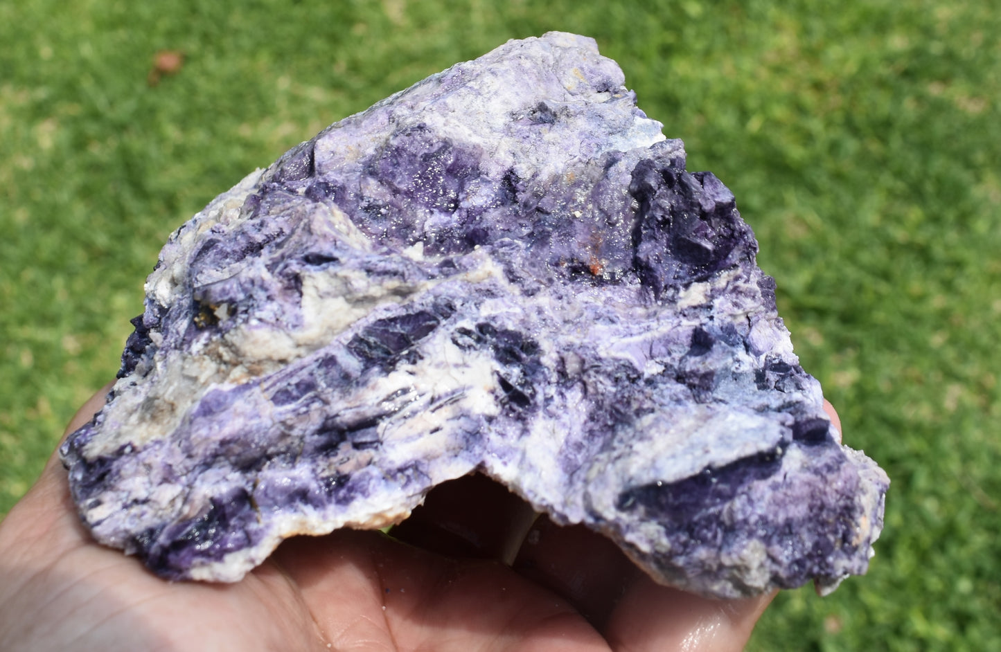 1.20  LB AAA Tiffany Stone (Utah) Rough lapidary Rock (R-DFF)