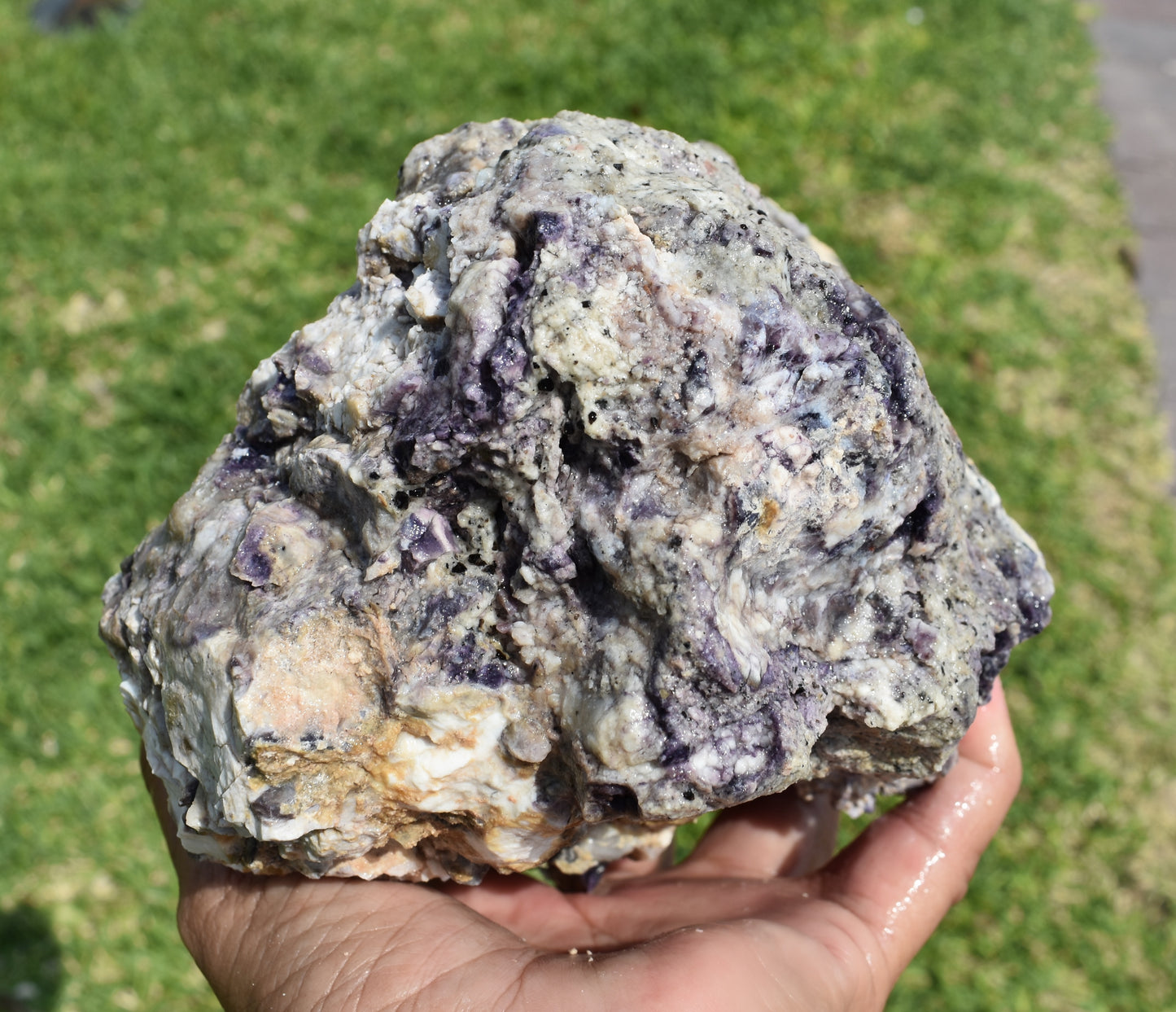 5.10 LB AAA Tiffany Stone (Utah) Rough lapidary Rock (R- GHT)