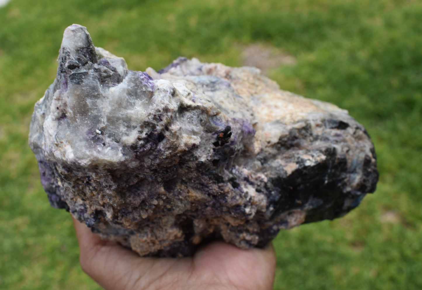 2.62 LB Tiffany Stone (Utah) Rough lapidary Rock (R-HHJ)