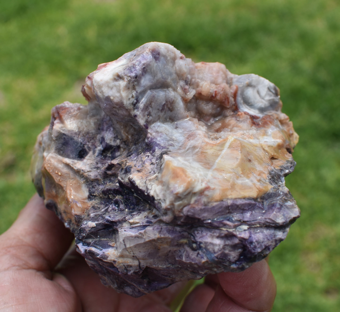 1.34 LB Tiffany Stone (Utah) Rough lapidary Rock (R-GYT)