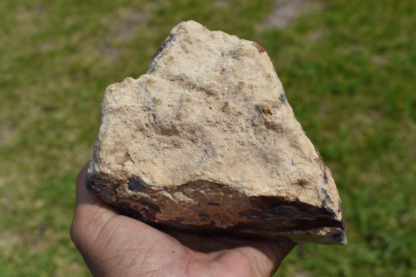 1.84 LB Tiffany Stone (Utah) Rough lapidary Rock (R- CCZ)