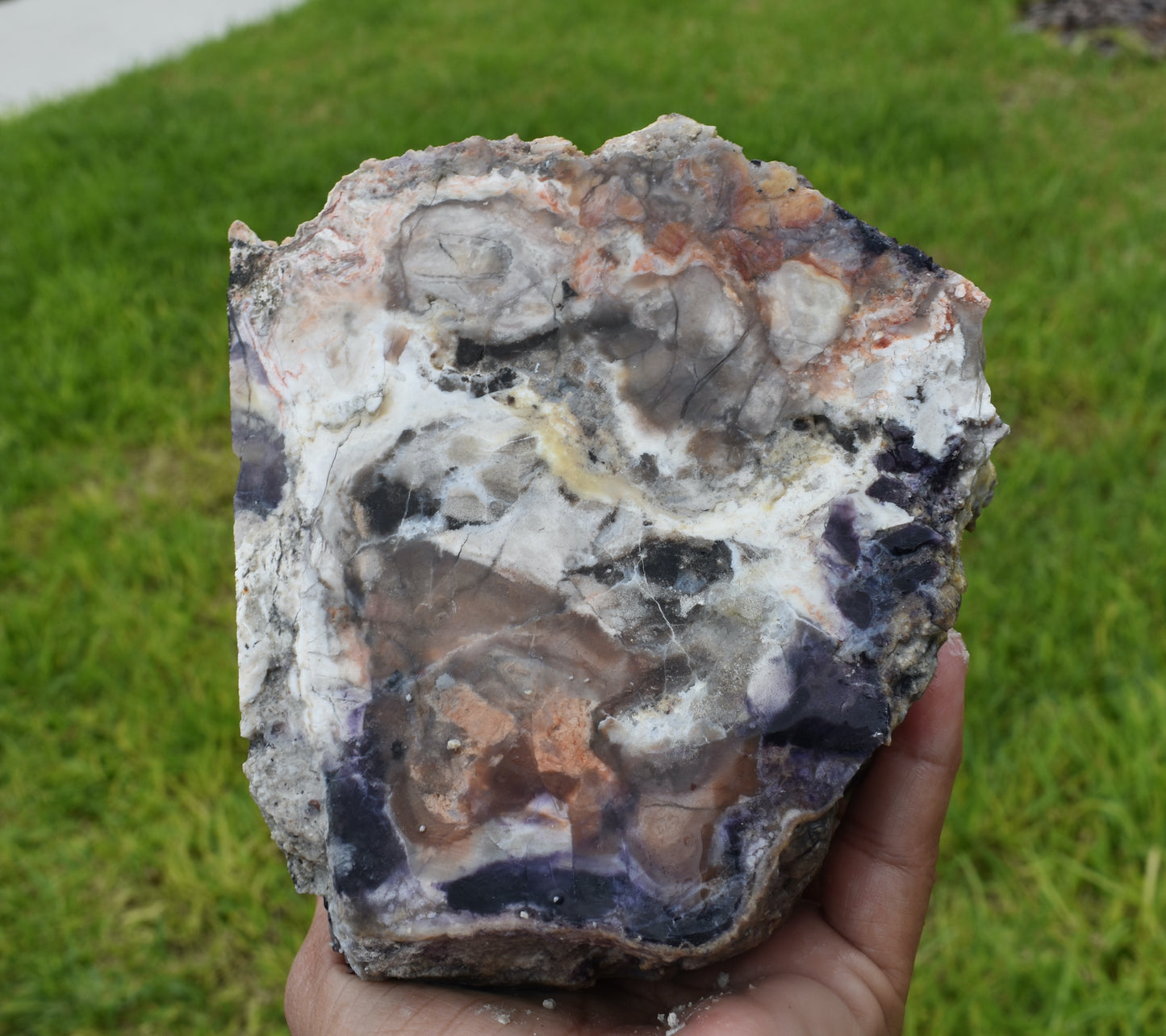 3.48 LB  Tiffany Stone (Utah) Rough lapidary Rock (R- DSX)