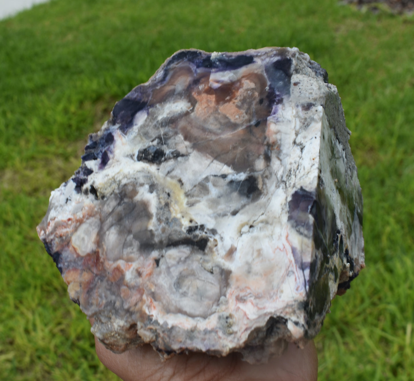 3.48 LB  Tiffany Stone (Utah) Rough lapidary Rock (R- DSX)