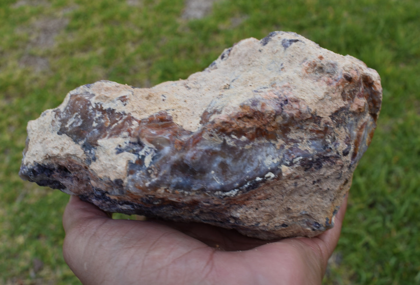 2.28 LB Tiffany Stone (Utah) Rough lapidary Rock (R- HGJ)