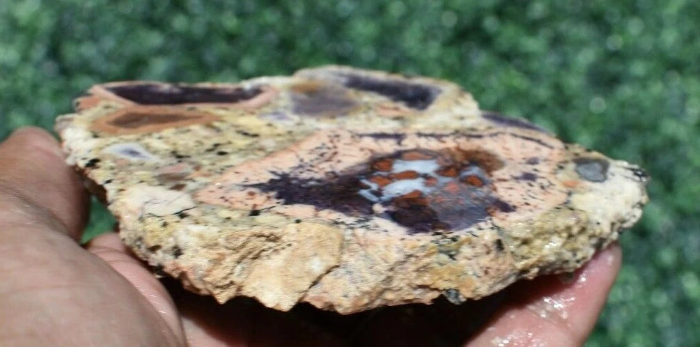 111 GM AA TIFFANY STONE Slab, BERTRANDITE, OPALIZED FLUORITE Utah (R-BG1)