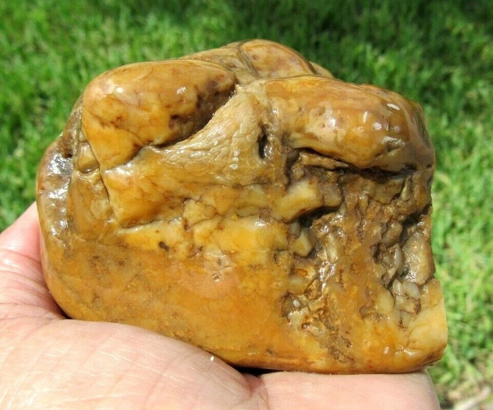 0.96 LB  Montana Agate Rough Lapidary Specimen (R-BE6)