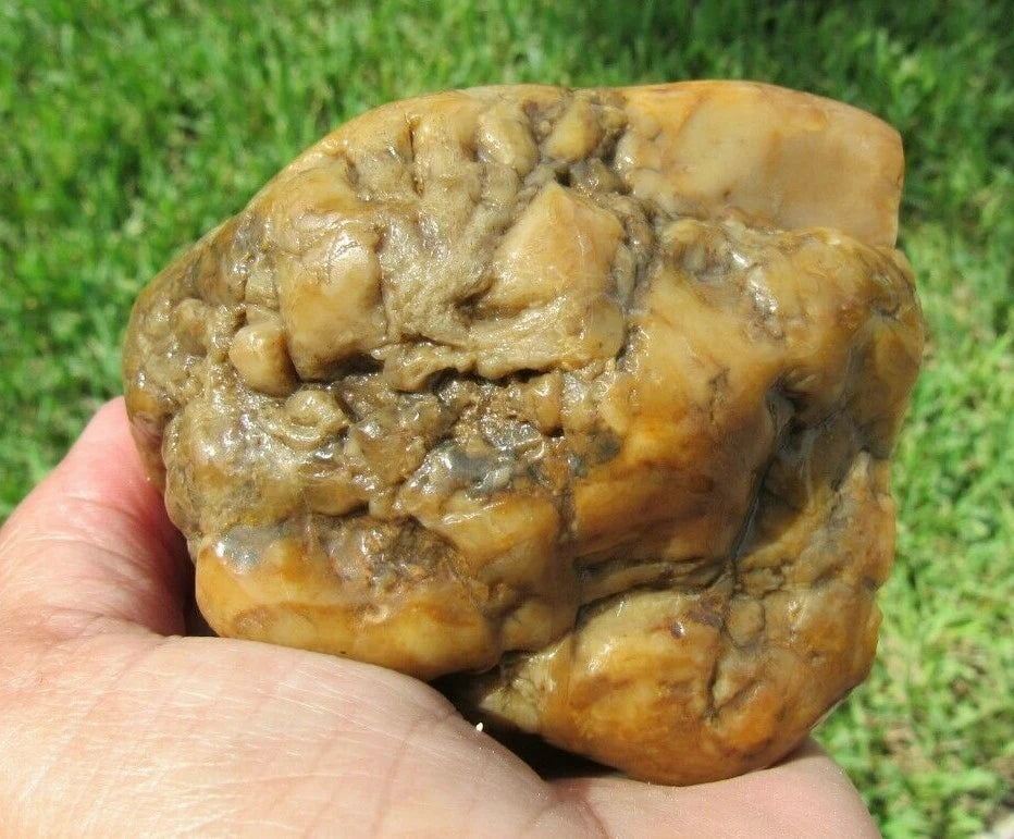 0.96 LB  Montana Agate Rough Lapidary Specimen (R-BE6)