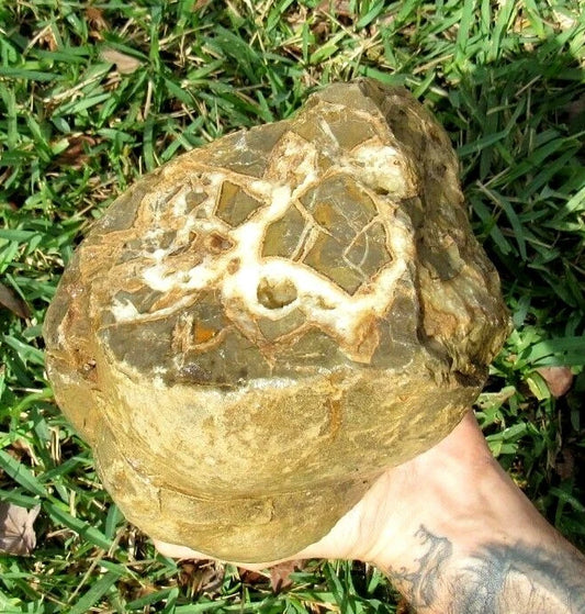 9.91LB Septarian Nodule Rough Geode Lapidary (S-MB)