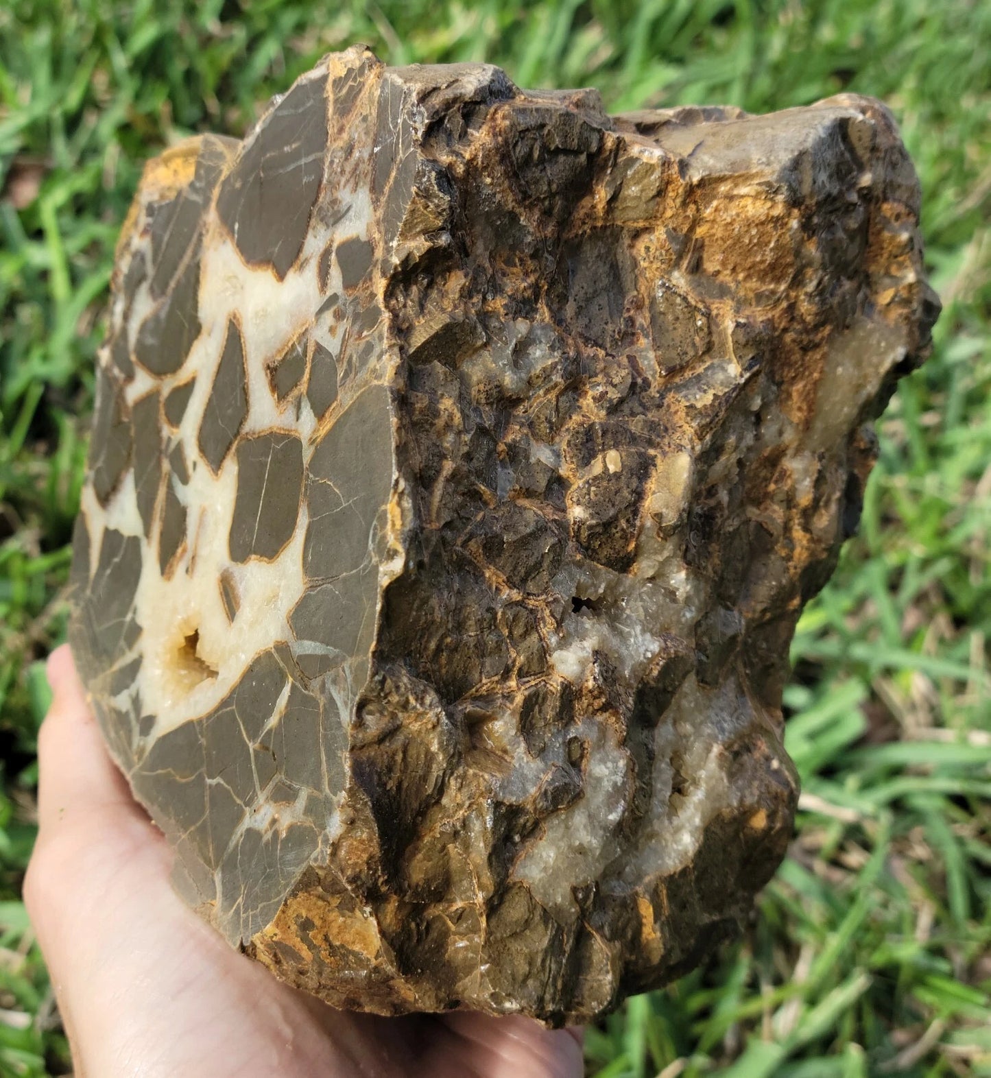 5.84 LB Septarian Nodule Rough Geode Lapidary (S-RJ)