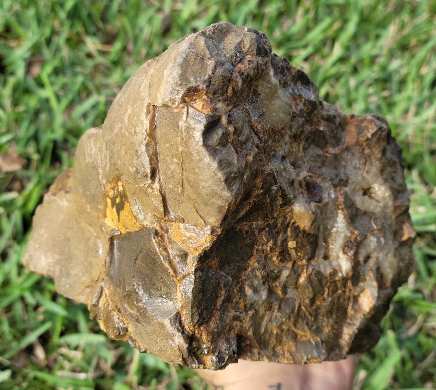 5.84 LB Septarian Nodule Rough Geode Lapidary (S-RJ)