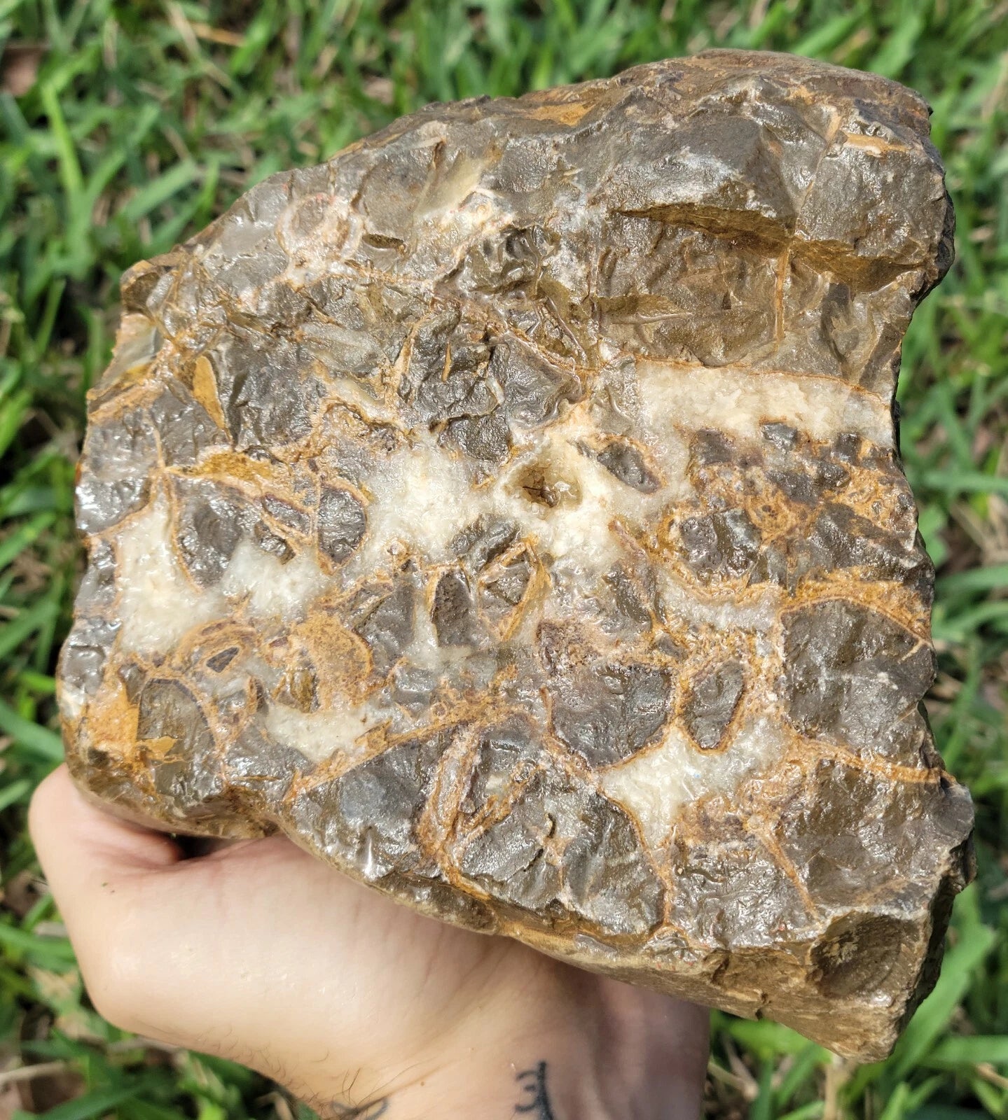 5.84 LB Septarian Nodule Rough Geode Lapidary (S-RJ)