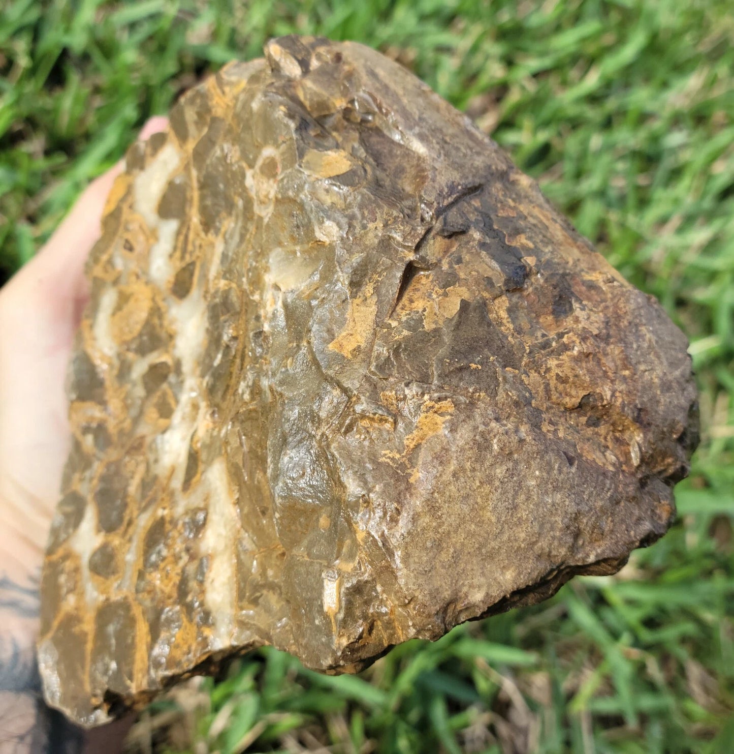 5.84 LB Septarian Nodule Rough Geode Lapidary (S-RJ)