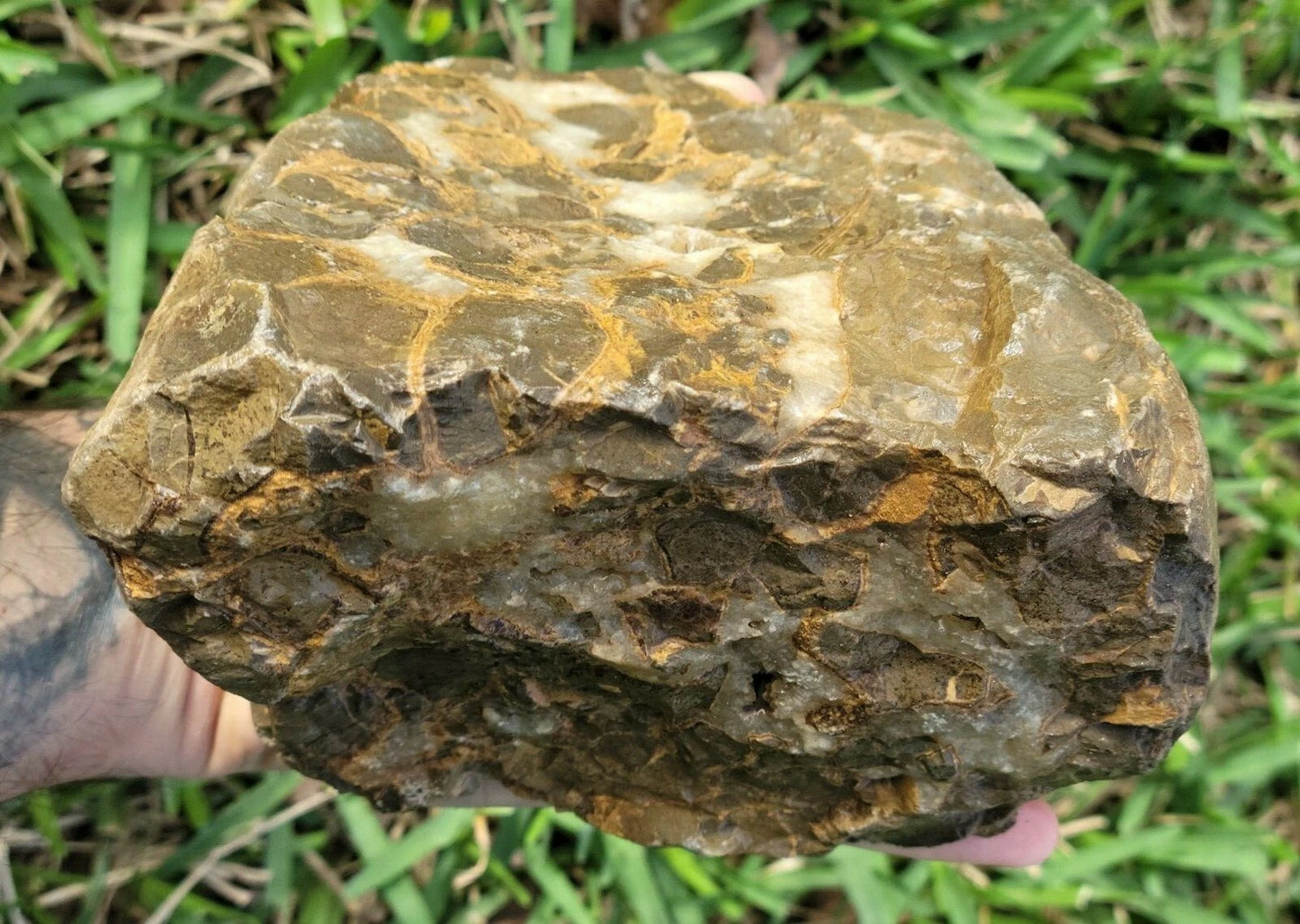 5.84 LB Septarian Nodule Rough Geode Lapidary (S-RJ)