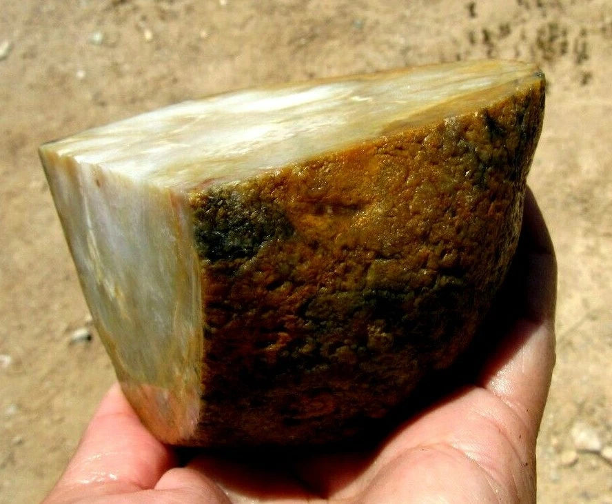 1.54 LB  Montana Agate Rough Lapidary Specimen (R-BE3)