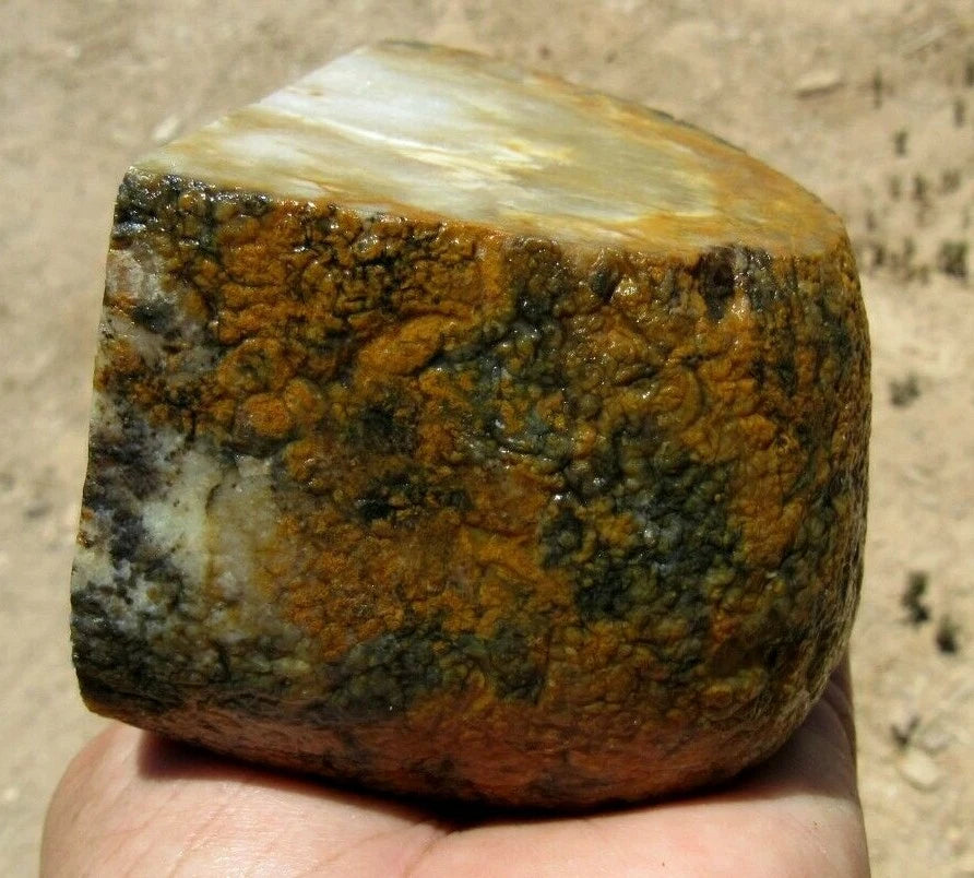 1.54 LB  Montana Agate Rough Lapidary Specimen (R-BE3)