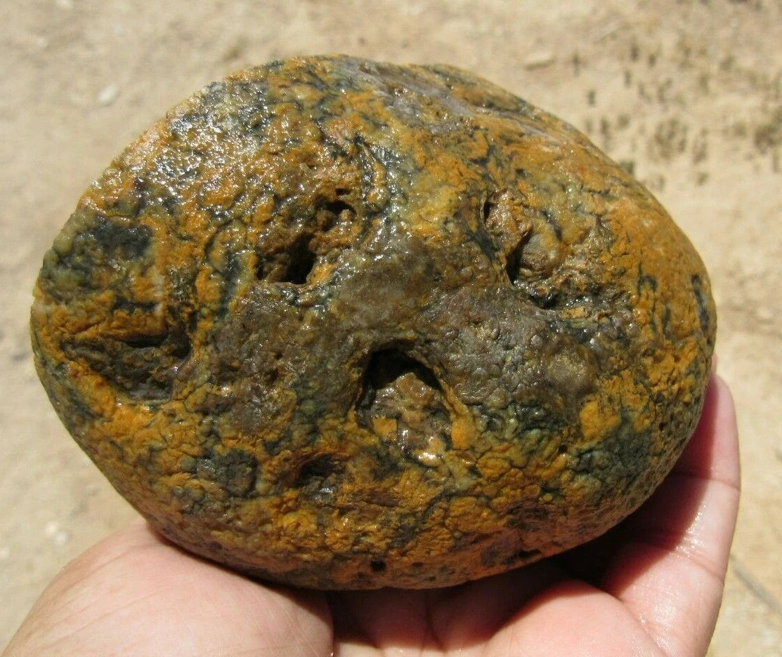 1.54 LB  Montana Agate Rough Lapidary Specimen (R-BE3)