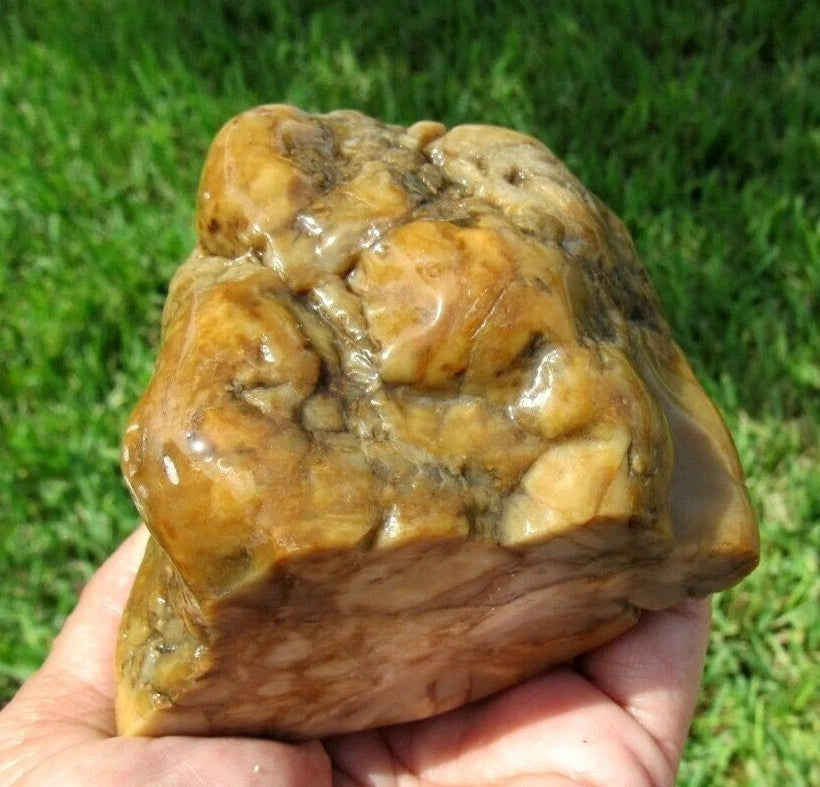 0.96 LB  Montana Agate Rough Lapidary Specimen (R-BE6)