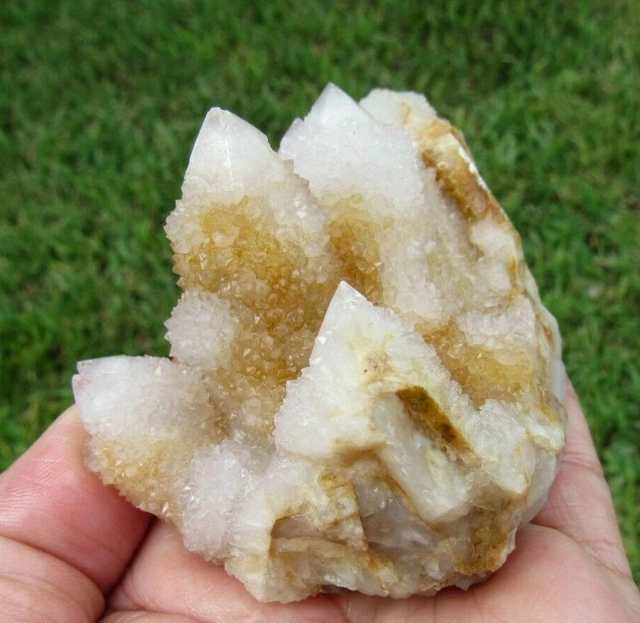 177 GM Natural Spirit Amethyst/Citrine Crystal Quartz Spirit Cactus (GH)