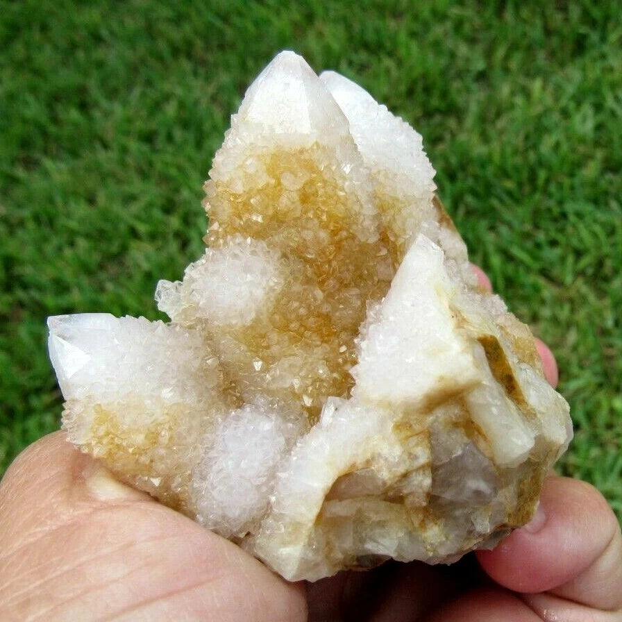 177 GM Natural Spirit Amethyst/Citrine Crystal Quartz Spirit Cactus (GH)