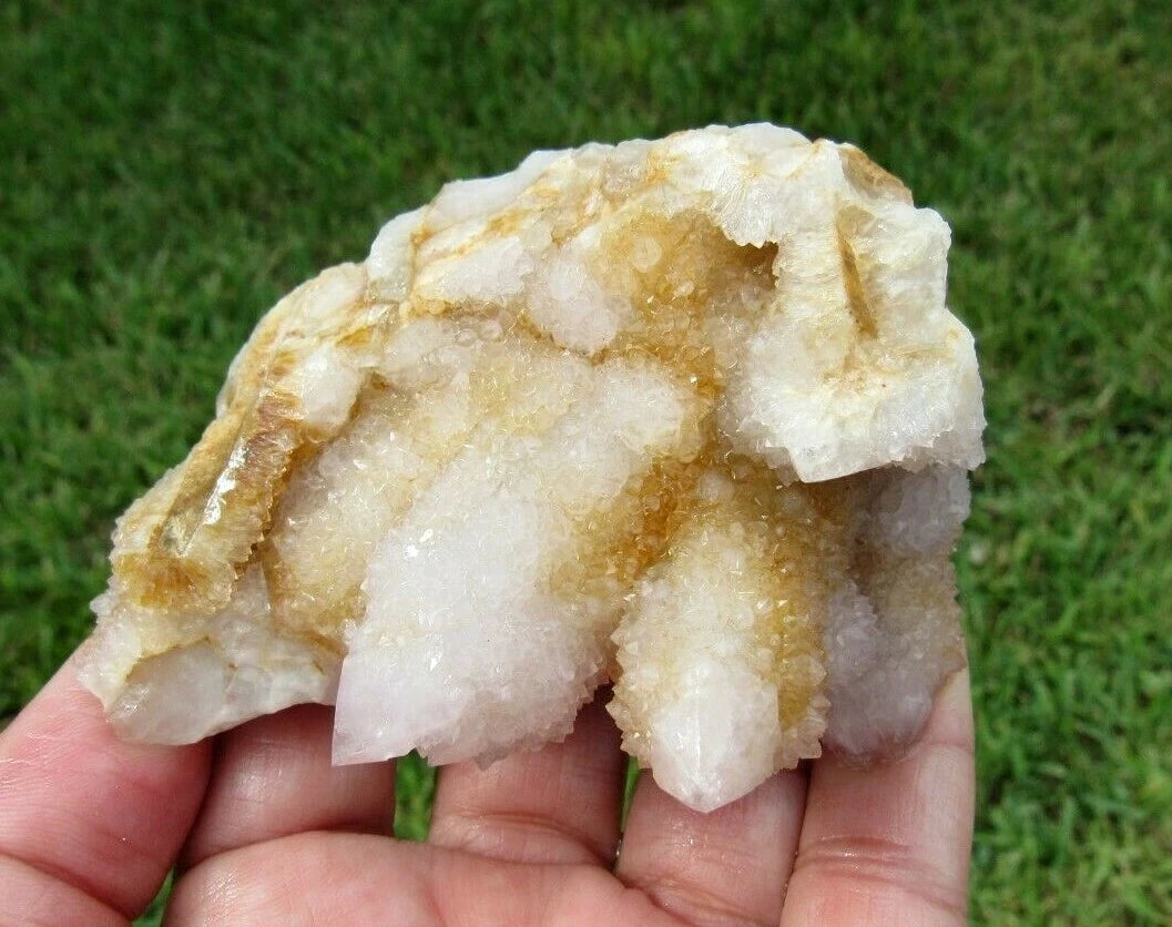 177 GM Natural Spirit Amethyst/Citrine Crystal Quartz Spirit Cactus (GH)