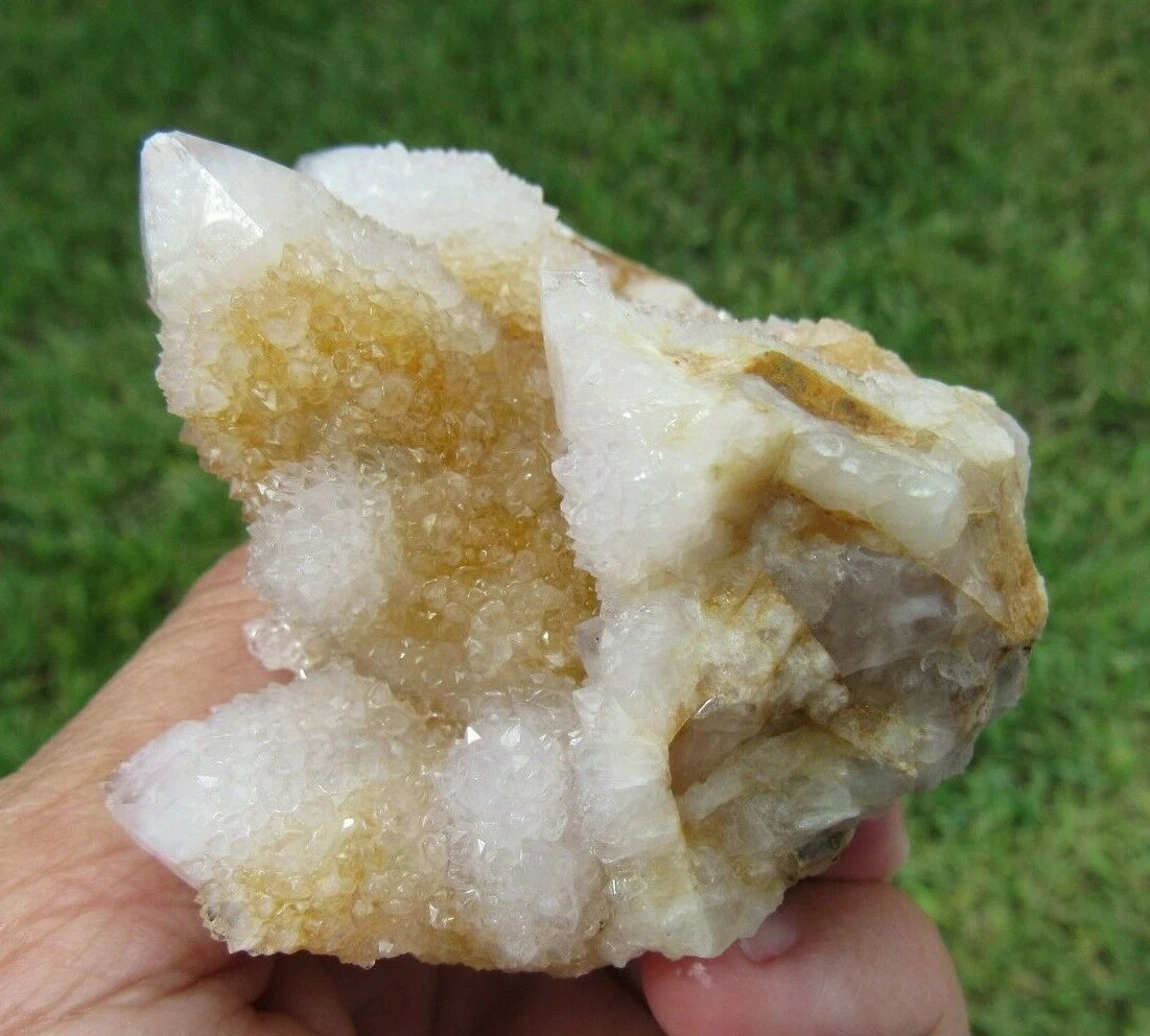 177 GM Natural Spirit Amethyst/Citrine Crystal Quartz Spirit Cactus (GH)