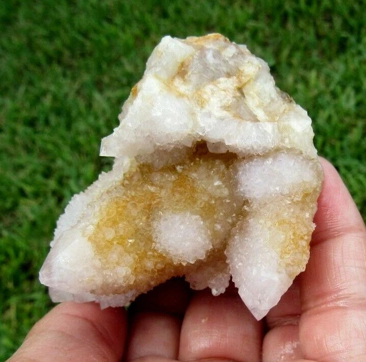177 GM Natural Spirit Amethyst/Citrine Crystal Quartz Spirit Cactus (GH)