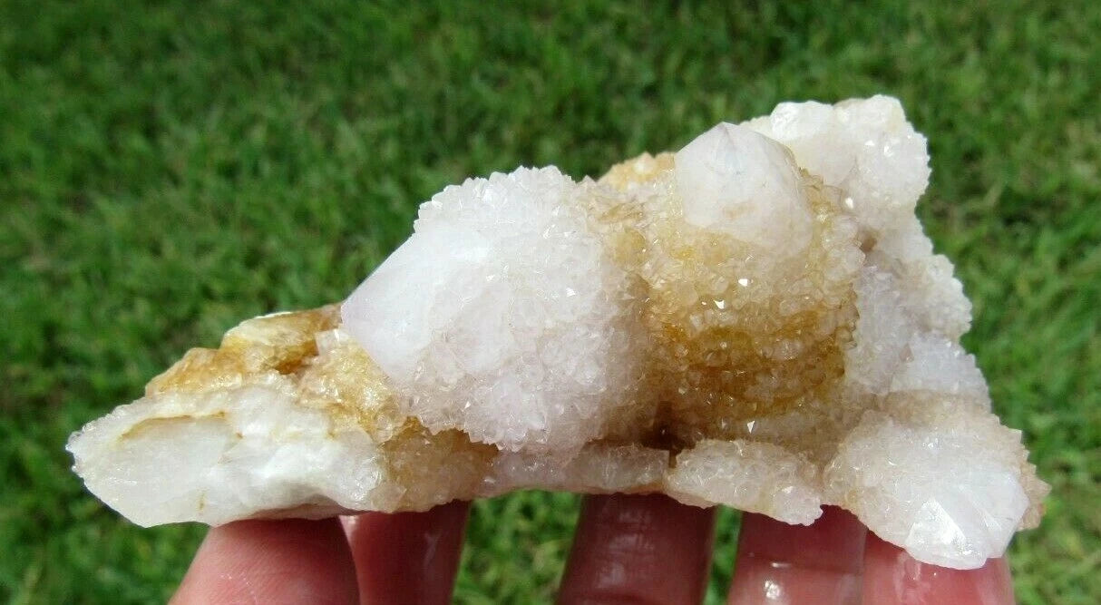 177 GM Natural Spirit Amethyst/Citrine Crystal Quartz Spirit Cactus (GH)