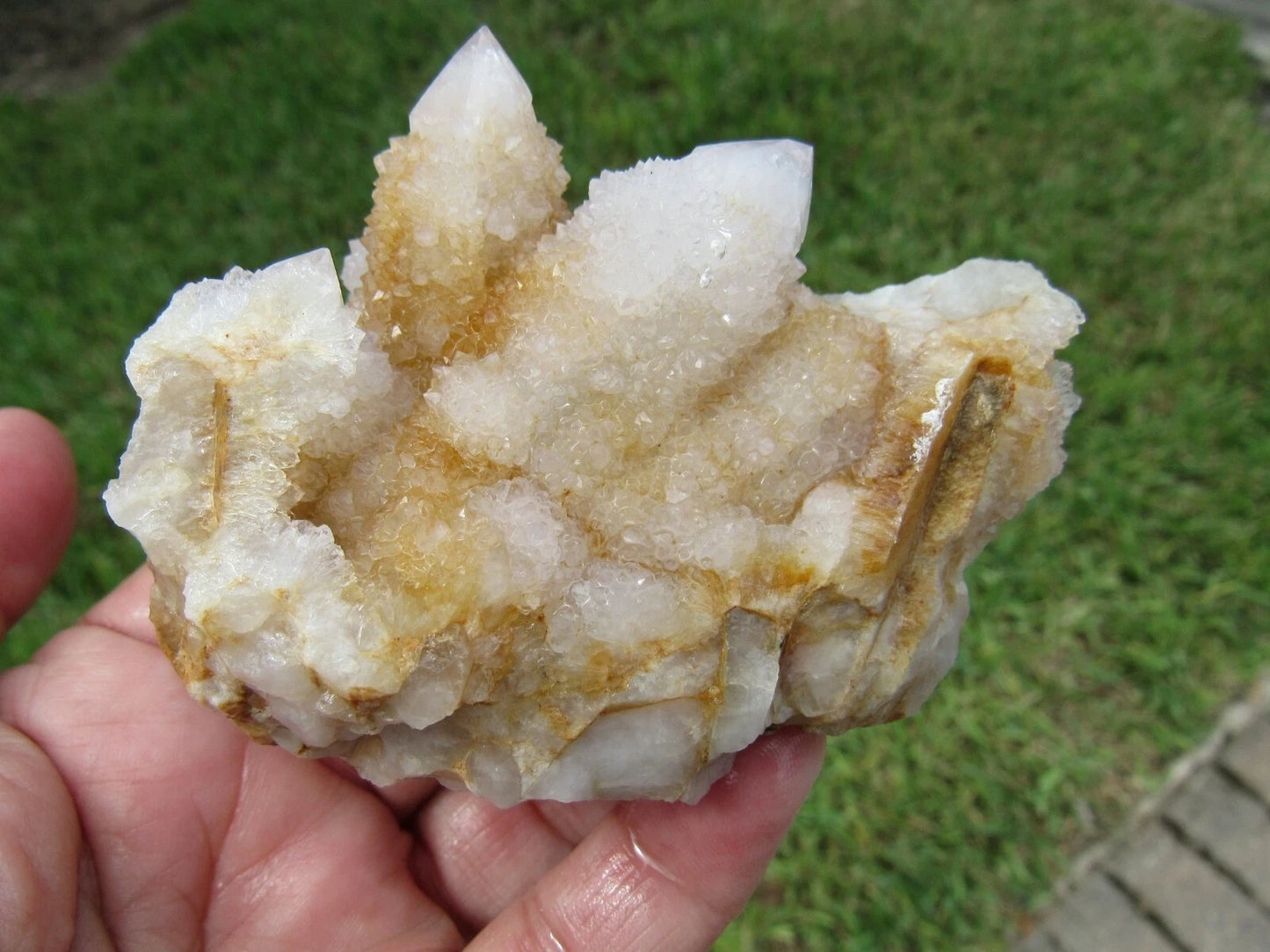177 GM Natural Spirit Amethyst/Citrine Crystal Quartz Spirit Cactus (GH)