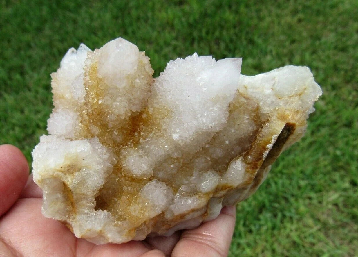 177 GM Natural Spirit Amethyst/Citrine Crystal Quartz Spirit Cactus (GH)