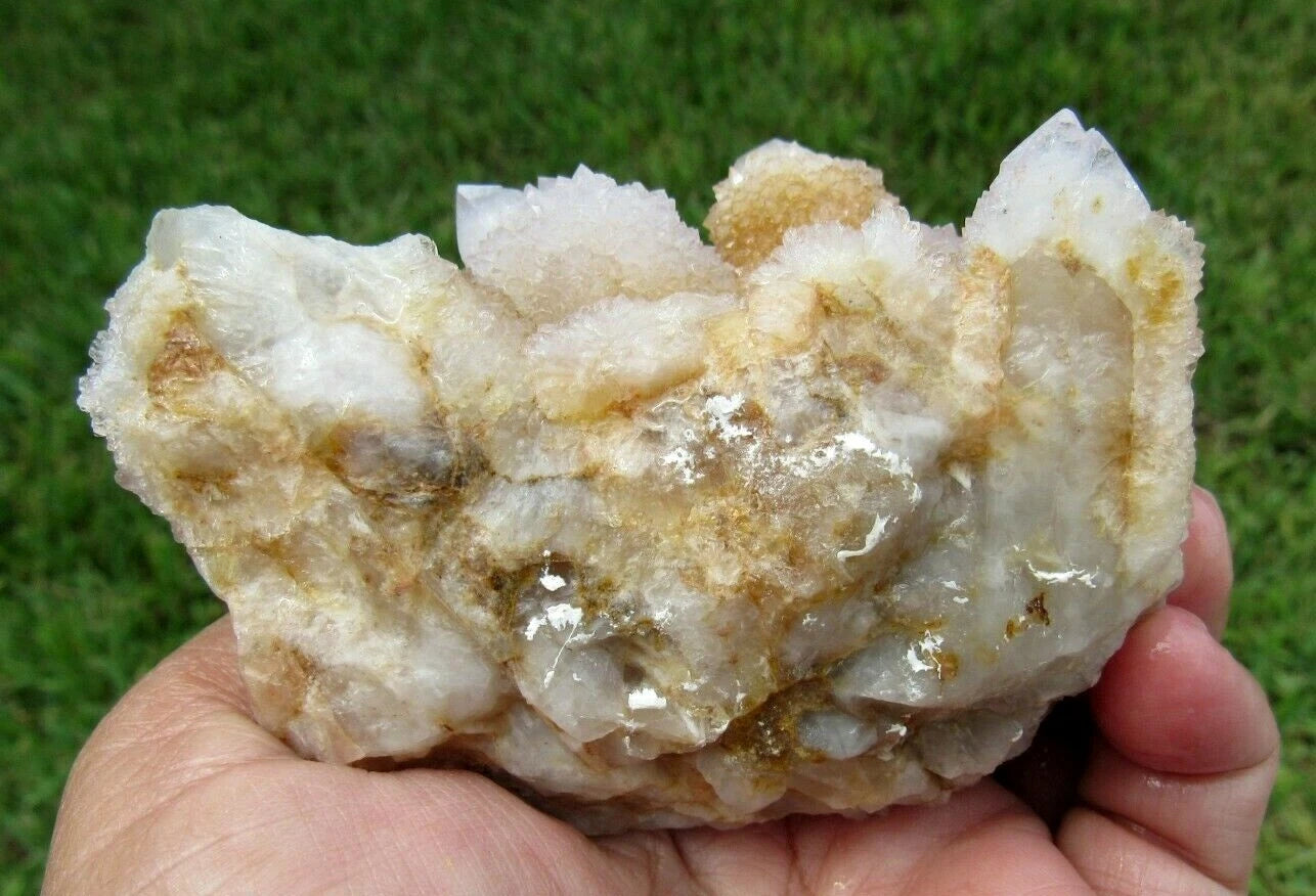 177 GM Natural Spirit Amethyst/Citrine Crystal Quartz Spirit Cactus (GH)