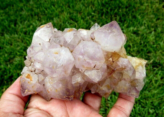243 GM Natural Spirit Amethyst Crystal Quartz Spirit Cactus (RE)
