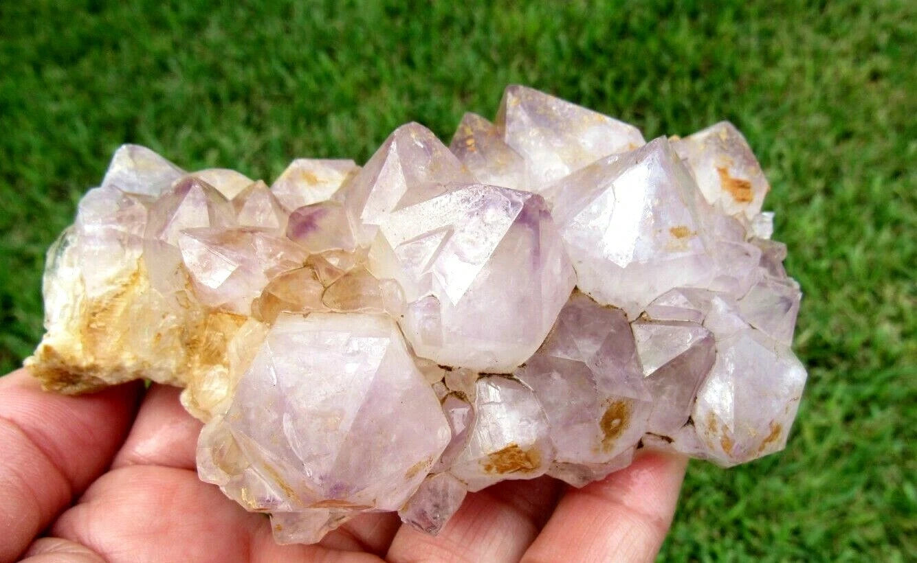243 GM Natural Spirit Amethyst Crystal Quartz Spirit Cactus (RE)
