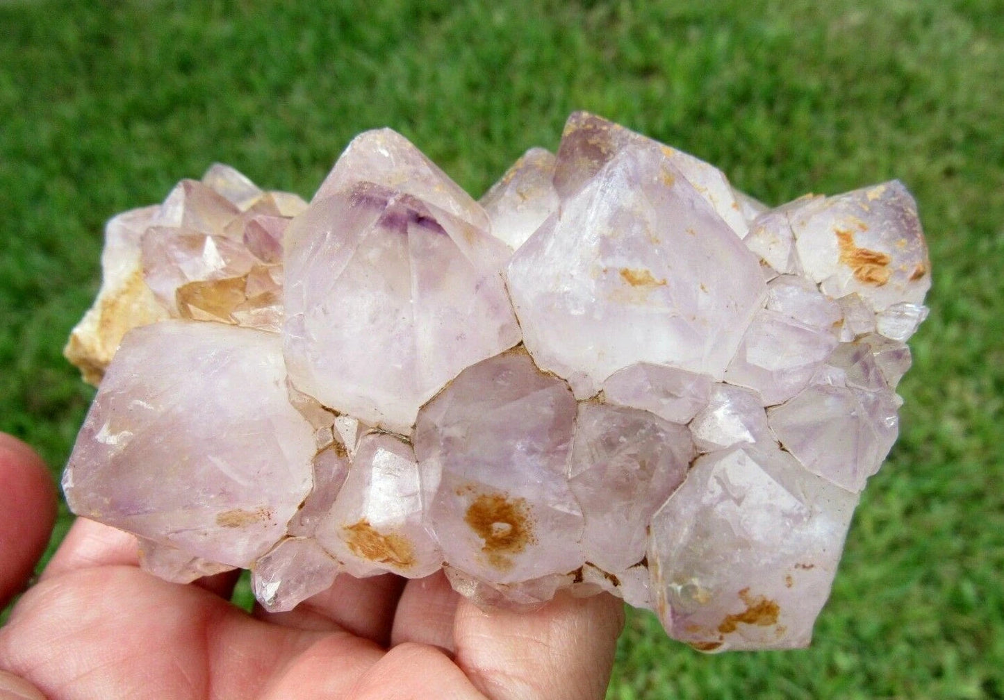 243 GM Natural Spirit Amethyst Crystal Quartz Spirit Cactus (RE)