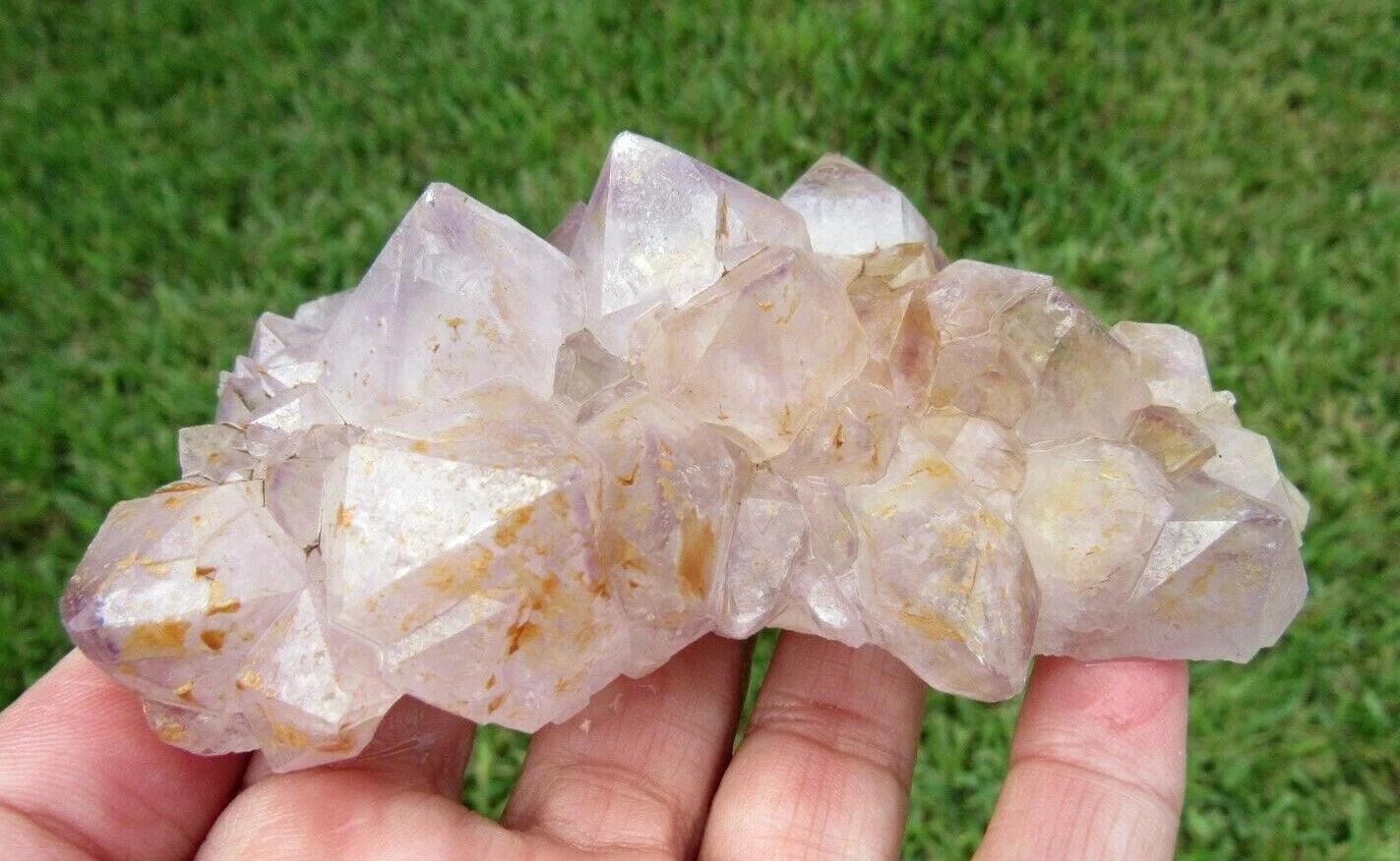 243 GM Natural Spirit Amethyst Crystal Quartz Spirit Cactus (RE)