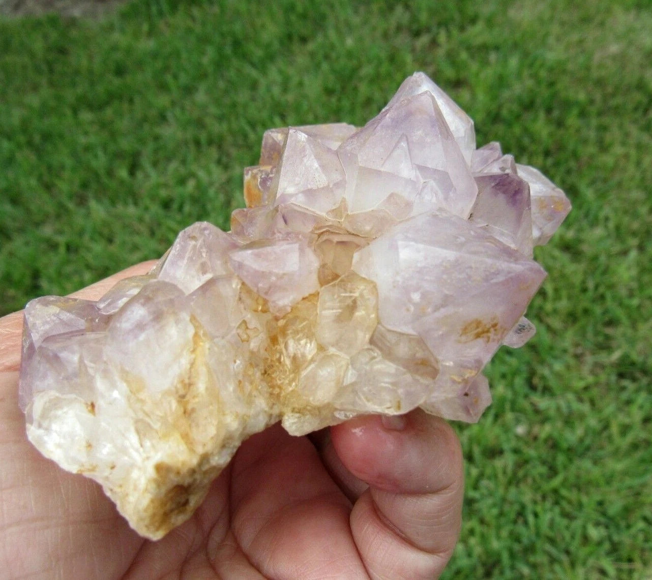 243 GM Natural Spirit Amethyst Crystal Quartz Spirit Cactus (RE)