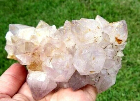 243 GM Natural Spirit Amethyst Crystal Quartz Spirit Cactus (RE)