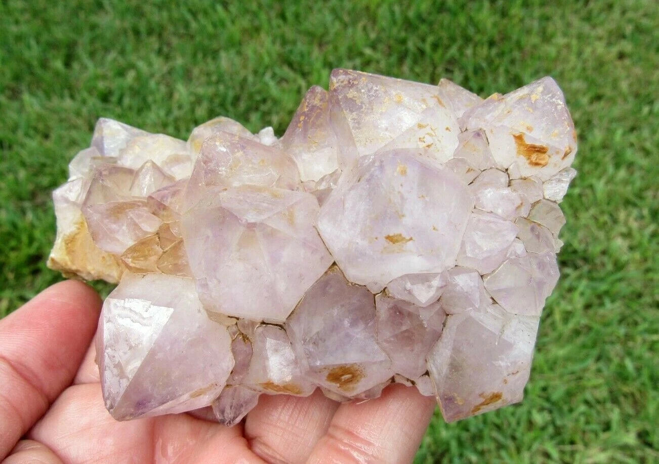 243 GM Natural Spirit Amethyst Crystal Quartz Spirit Cactus (RE)